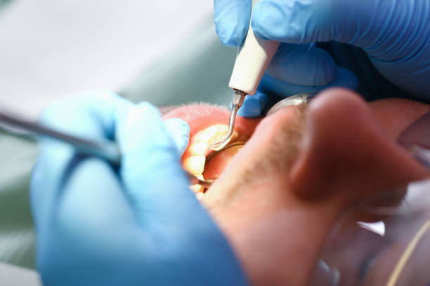 Best Dentist Open Late Near Me  in Alorton, IL